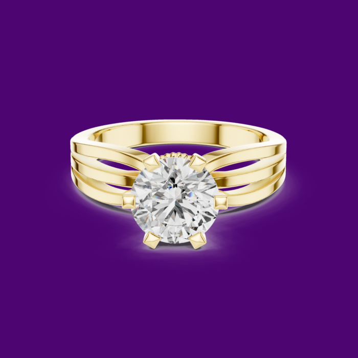 Your paragraph text (1)